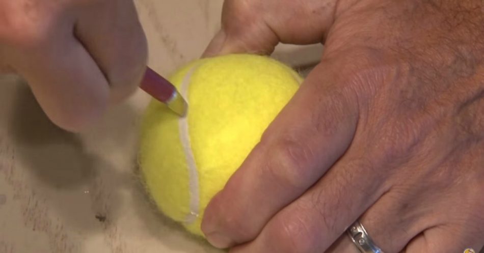 5 kreative Möglichkeiten, Tennisbälle wiederzuverwenden und sie von der Dump zu speichern 
