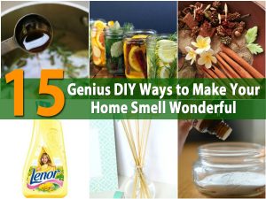 15 Genius DIY Möglichkeiten, um Ihr Zuhause zu machen, riechen Wunderbar 