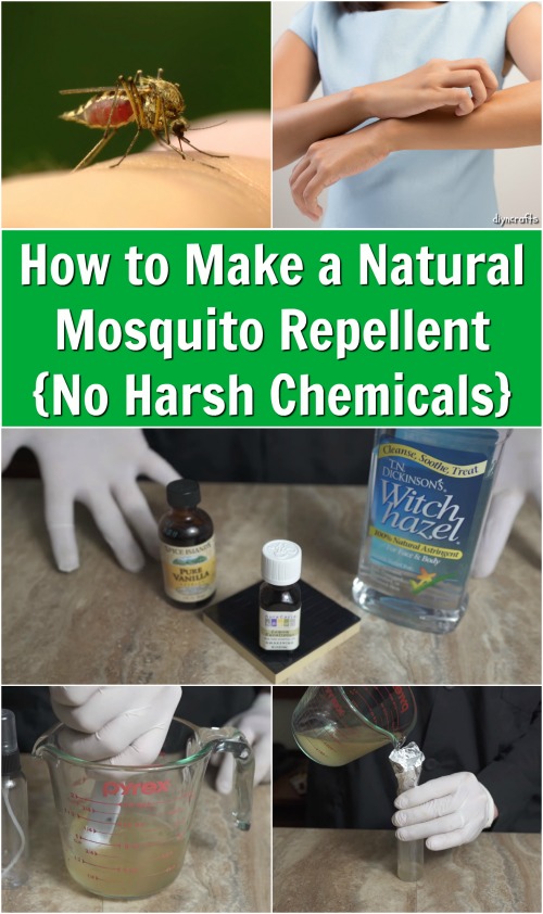 Wie man einen natürlichen Mückenschutz macht {No Harsh Chemicals} 