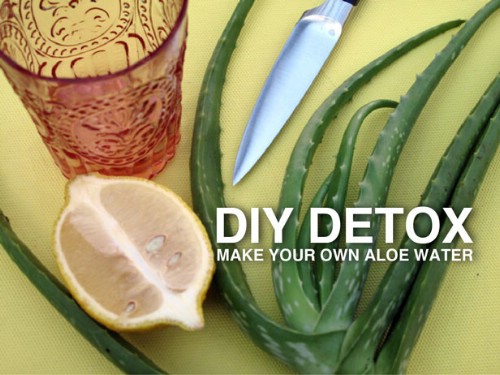 20 köstliche Detox-Wasser, um Ihren Körper zu reinigen und Fett zu verbrennen 