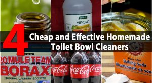 4 billige und effektive hausgemachte Toilettenschüssel Reiniger 