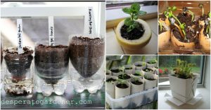 20 Upcycled Samen-Starter-Töpfe, die Sie leicht zu Hause machen können 