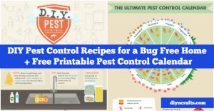 DIY Schädlingsbekämpfung Rezepte für ein Bug Free Home + Schädlingsbekämpfung Kalender 