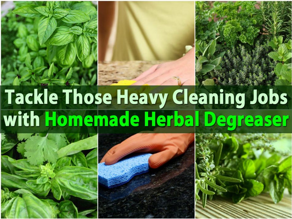 Tackle diese Heavy Cleaning Jobs mit hausgemachten pflanzlichen Entfetter 