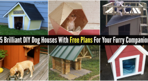 15 Brilliant DIY Hundehütten mit kostenlosen Plänen für Ihren pelzigen Begleiter 