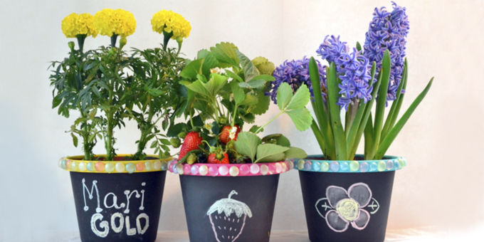 20 kreative Möglichkeiten, deine langweiligen Blumentöpfe aufzuwerten 