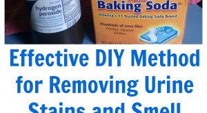 Effektive DIY-Methode zur Entfernung von Urin Flecken und Geruch {Rezept} 