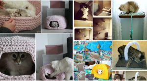 20 Purrfect DIY Projekte für Katzenbesitzer 