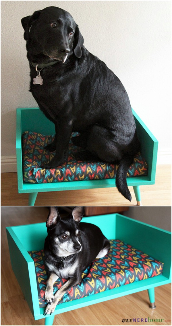 20 einfache DIY Hundebetten und Kisten, die Sie Ihren Welpen verwöhnen lassen 
