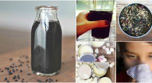 10 hausgemachte Rezepte zur Befreiung von Heuschnupfen und saisonalen Allergien 