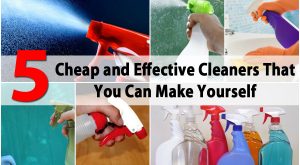 5 Günstige und effektive Reiniger, die Sie selbst machen können 