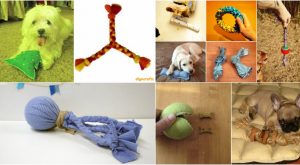 25 Frugally Fun DIY Hundespielzeug, um Ihr Hündchen zu verwöhnen 