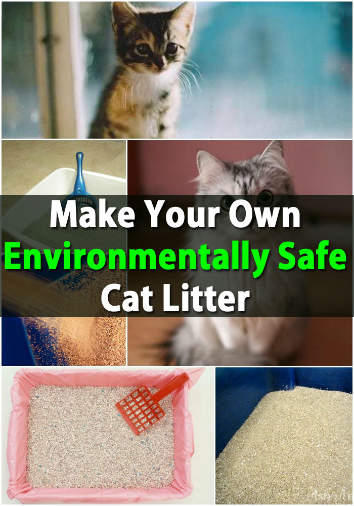 Riesige Geld sparen - Machen Sie Ihre eigenen umweltfreundlichen Katzenstreu 