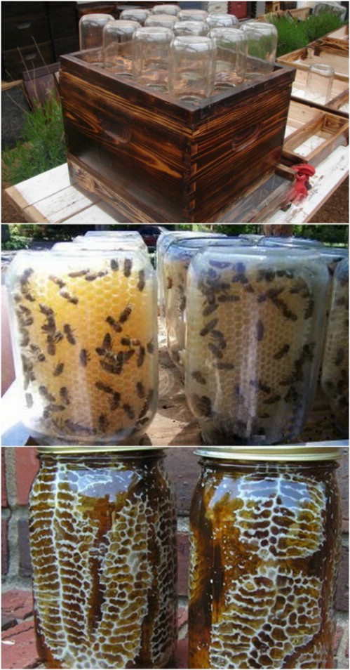 10 DIY Bienenstöcke, die Sie heute zu Ihrem Garten hinzufügen können 