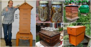 10 DIY Bienenstöcke, die Sie heute zu Ihrem Garten hinzufügen können 