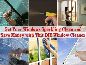 Holen Sie sich Ihre Windows Sparkling Clean und sparen Sie Geld mit diesem DIY Fensterputzer 