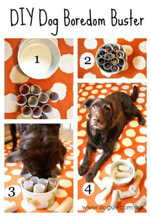25 Frugally Fun DIY Hundespielzeug, um Ihr Hündchen zu verwöhnen 